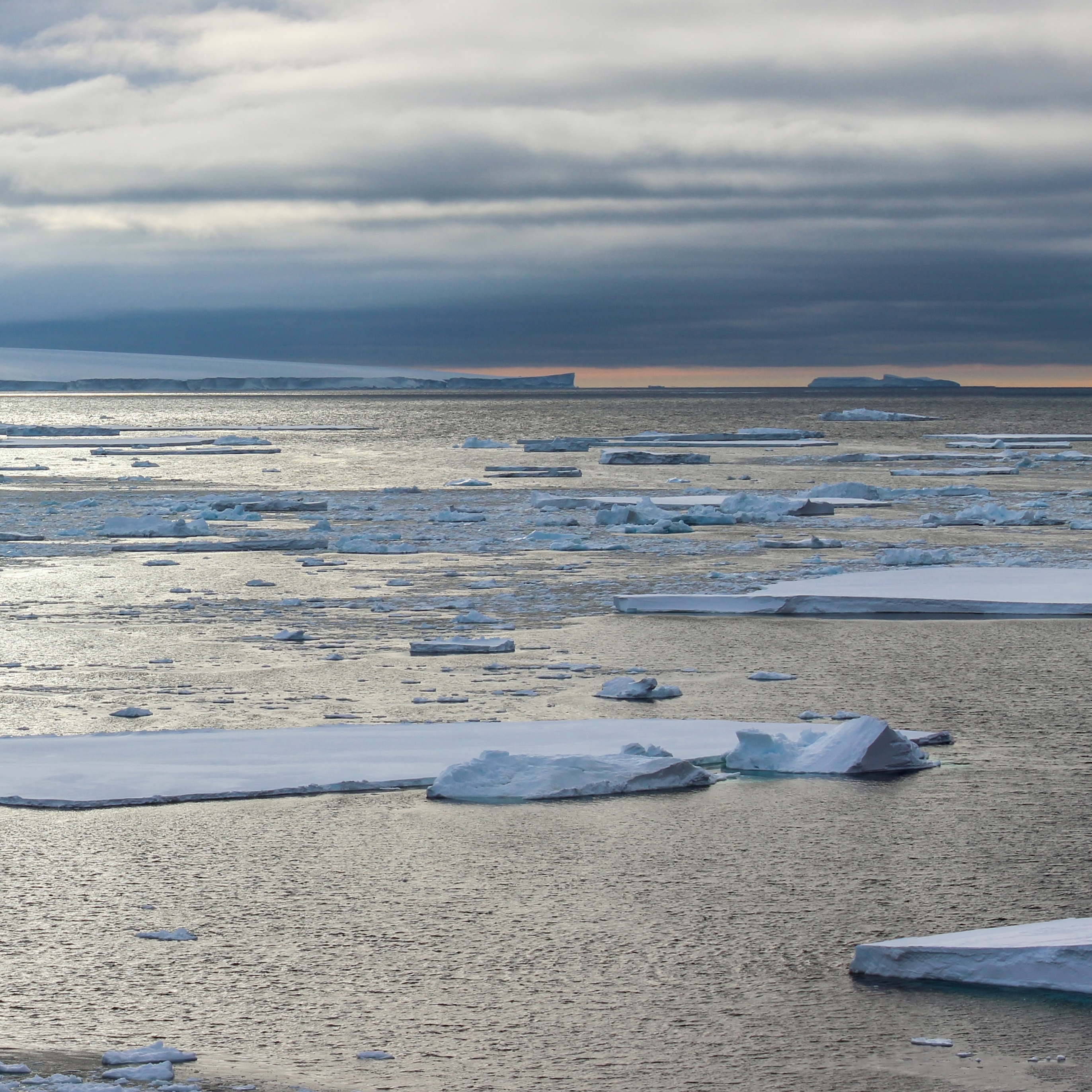 sea-ice
